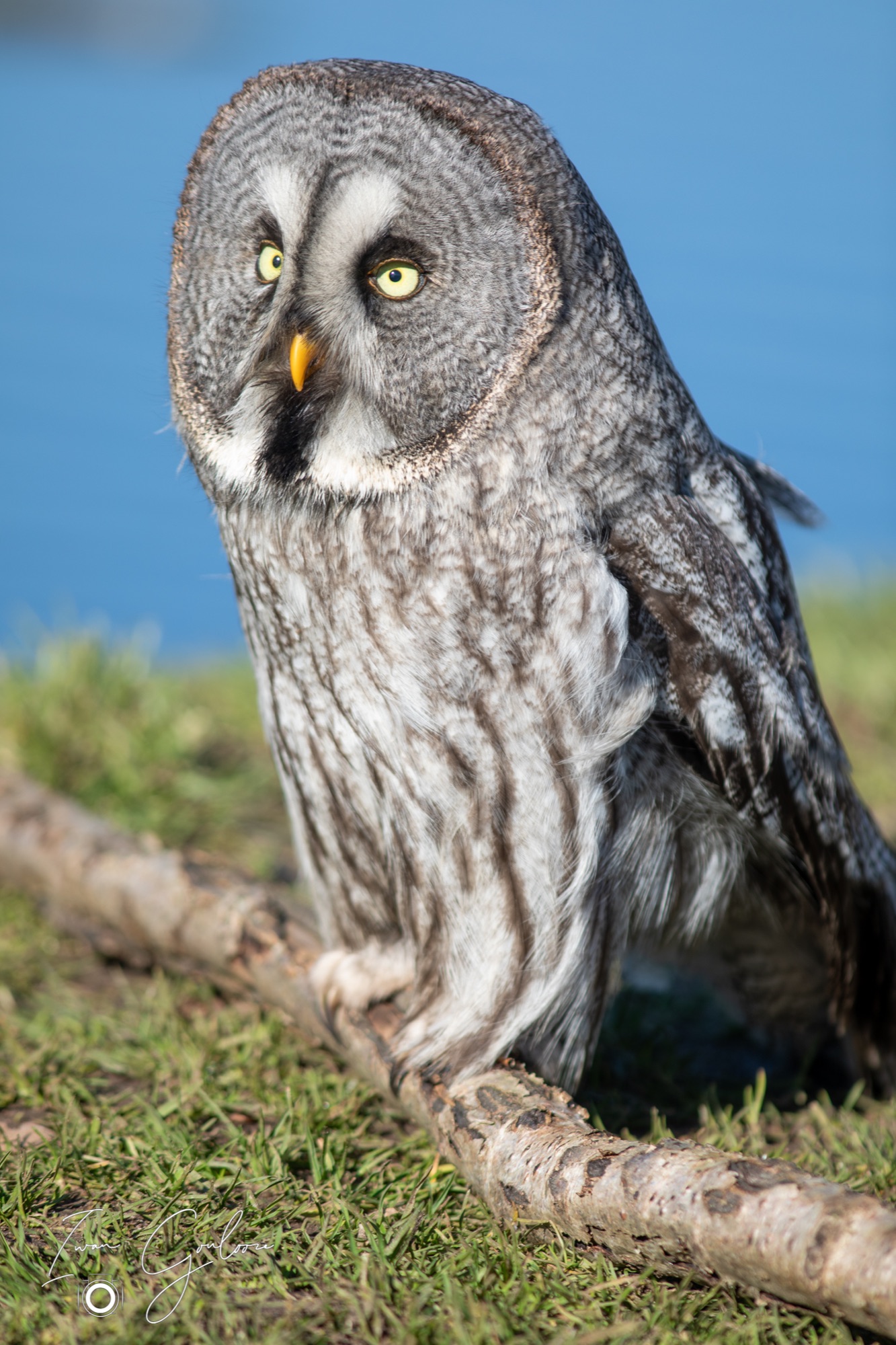 04 maart 2022 153409  5D44209